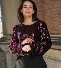 Esquallo Sequins Top