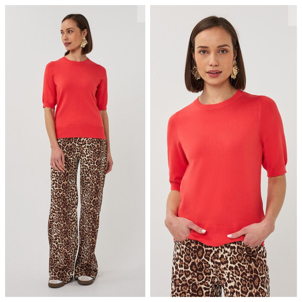 Esquallo Knit
