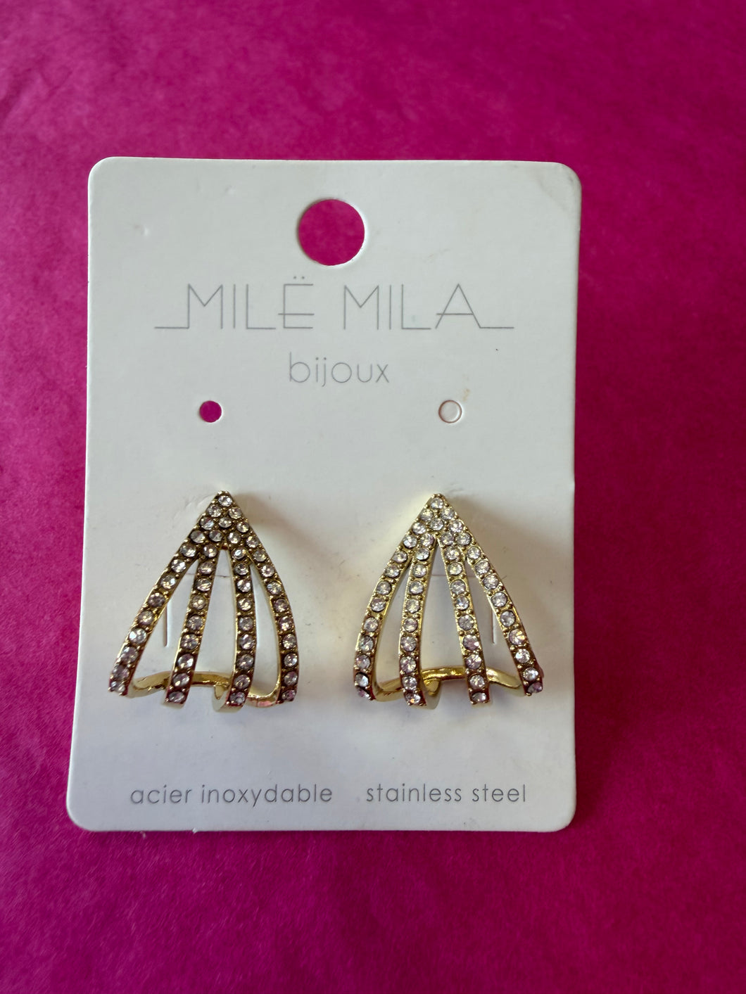 Earrings